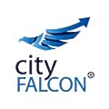 CityFalcon