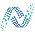 Netwise Data
