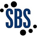 Strategic Business Systems