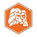 Lion Technology